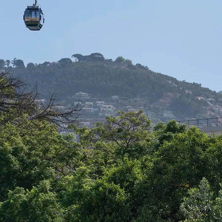 Daire Do Carmo By An Island